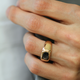 Oren Signet Ring with Salt & Pepper Diamond