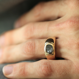 Oren Signet Ring with Salt & Pepper Diamond