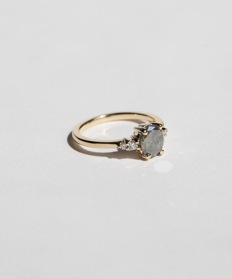 Sloane Salt & Pepper Diamond Ring