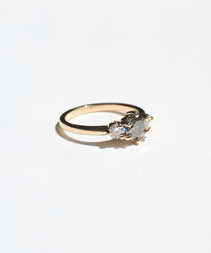 Ellis III Ring with Salt & Pepper Diamond