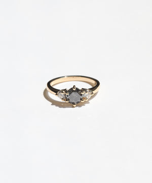 Ellis III Ring with Salt & Pepper Diamond