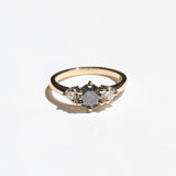 Ellis III Ring with Salt & Pepper Diamond