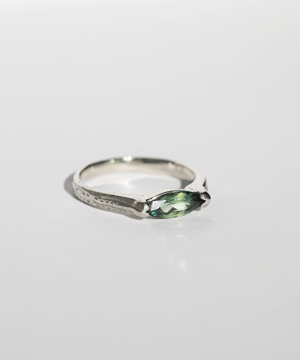 Platinum Foxtail Band with bi-color Sapphire