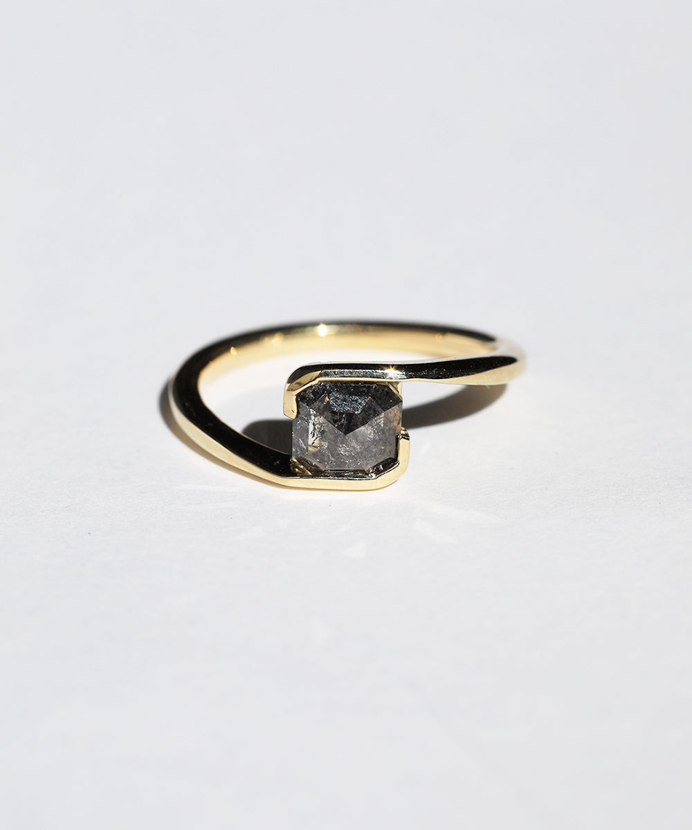 Orbit Ring Salt and Pepper Diamond