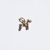 Terrier Puppy Charm