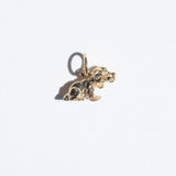 Spaniel Puppy Charm