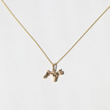 Terrier Puppy Charm