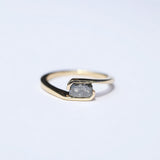 Orbit Ring Salt and Pepper Diamond
