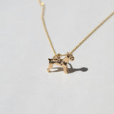 Terrier Puppy Charm