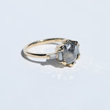 Vanna Ring with Salt & Pepper Diamond