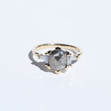 Vanna Ring with Salt & Pepper Diamond